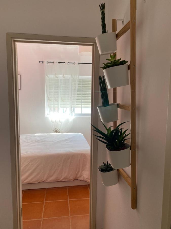 Apartamento Vicentino Vila Nova de Milfontes Zewnętrze zdjęcie