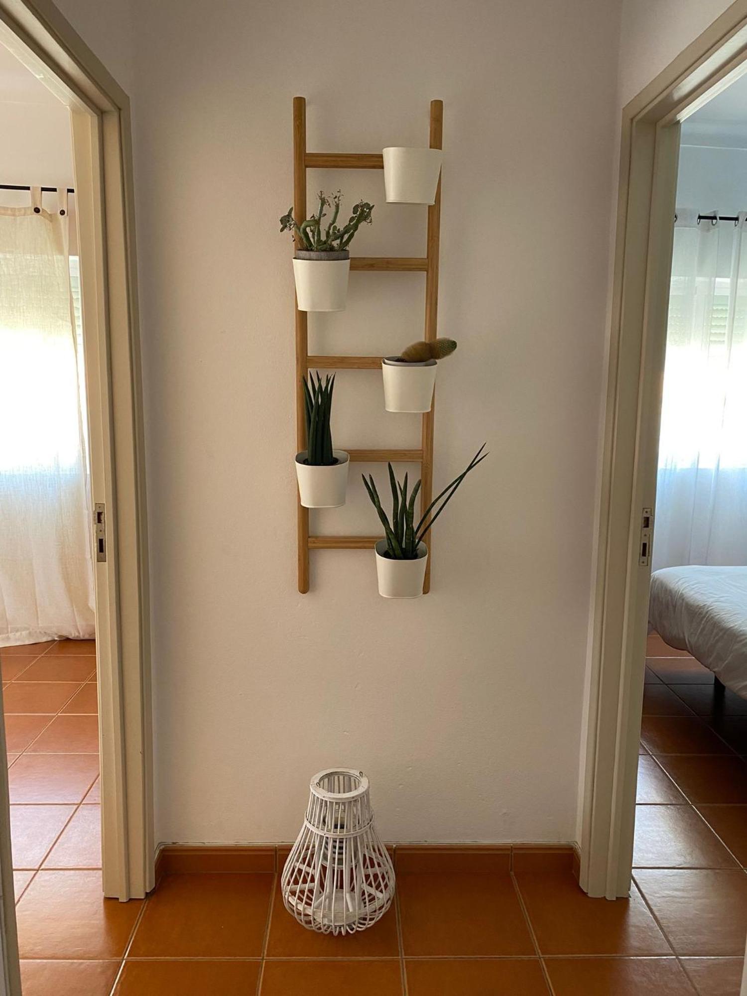 Apartamento Vicentino Vila Nova de Milfontes Zewnętrze zdjęcie