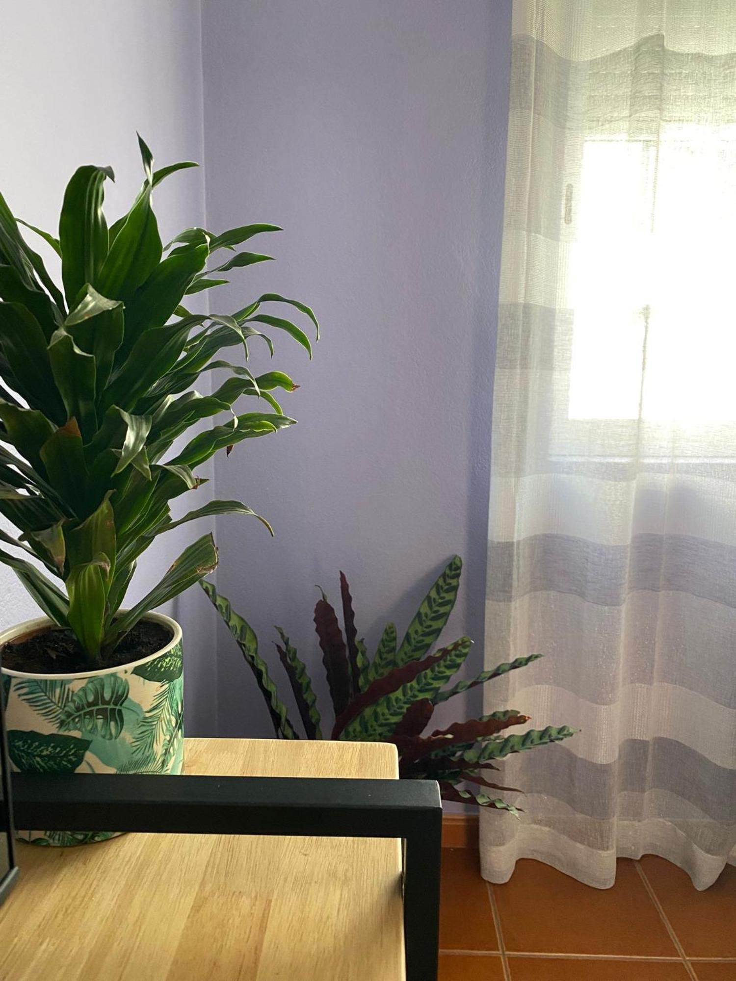 Apartamento Vicentino Vila Nova de Milfontes Zewnętrze zdjęcie